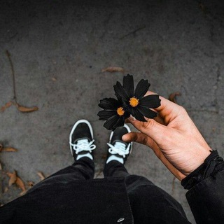 Логотип @picture_lost_youth - picture *for you*