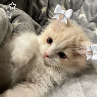 Логотип @pictures45 - Художественный домик🎀🧸