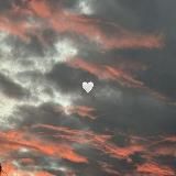 Логотип @pictures_03 - ✿𝔟𝔢𝔞𝔲𝔱𝔦𝔣𝔲𝔩 𝔭𝔦𝔠𝔱𝔲𝔯𝔢✿