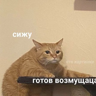 Логотип @picturesrandoom - Пикчурс