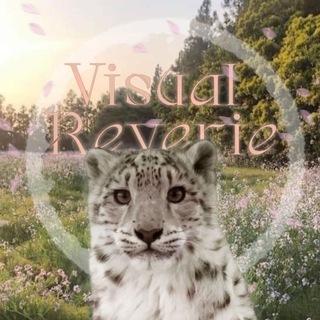 Логотип @picturevibes - Visual Reverie||•🪽°