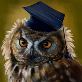 Логотип @pidgeon_of_knowledge - Quiz | Голубь знаний 🦉