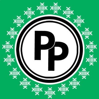 Логотип @piedpiper - Pied Piper News