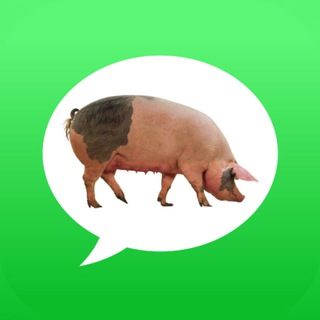 Логотип @pigcomments - Комменты свинособак