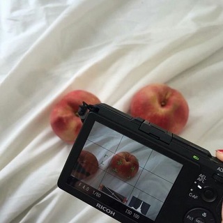 Логотип @pikchacommunity - Фотораф-чат Пикчи