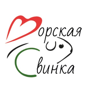 Логотип @pikchapig - ✨Морские Свинки✨