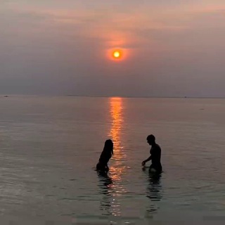 Логотип @pikchicom - твоя грусть.🫀