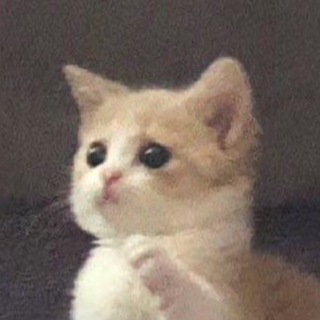 Логотип @pikchidlyavsego2 - Пикчи для пикапа