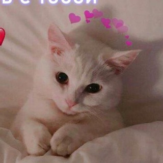 Логотип @pikchii28 - няшные пикчи🥺💜🥰