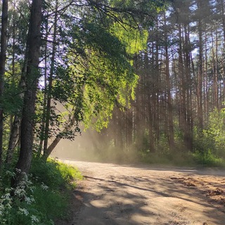 Логотип @piktales - Погружение в русский лес