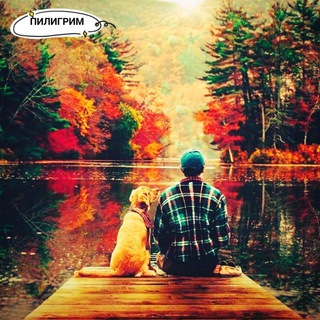 Логотип @pilligrim_zametki - Заметки пилигримма