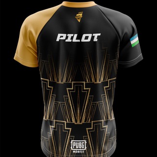 Логотип @pilot_pubgm - PILOT PUBGM