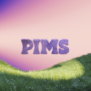 Логотип @pimstearu - PIMS CLUB