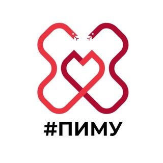 Логотип @pimunn - ПИМУ
