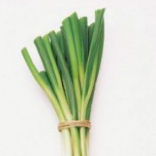 Логотип @pincong - 品葱pin-cong用户群