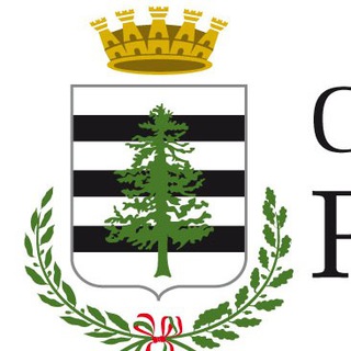 Логотип @pinerolo_comune - Città di Pinerolo