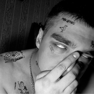 Логотип @pinesecrets - PINESECRET