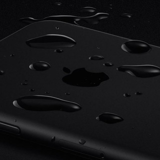 Логотип @pingouiphones - Pingou Iphone