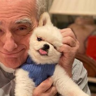 Логотип @pingpongbong - фильм фаталь