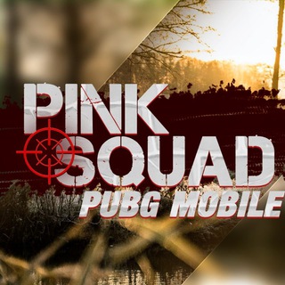 Логотип @pink_squad_korea - PINK SQUAD KOREA | ЧИТЫ НА КОРЕЙСКИЙ ПАБГ