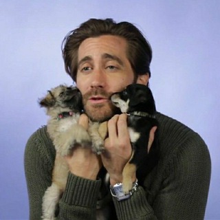 Логотип @pinkfiction - Pink Fiction