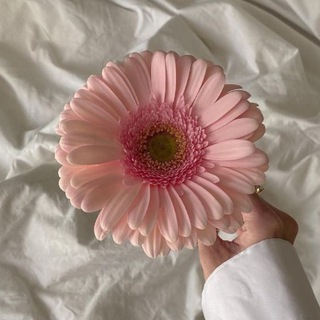 Логотип @pinkflora_spb1 - Доставка 🌸 Цветов 🌸Букеты