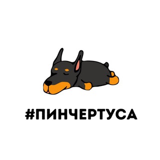 Логотип @pinparty - ПИНЧЕРТУСА