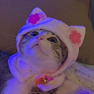 Логотип @pinterest_estetica - •|𝒂𝒆𝒔𝒕𝒆𝒕𝒊𝒌 𝒑𝒉𝒐𝒕𝒐|•