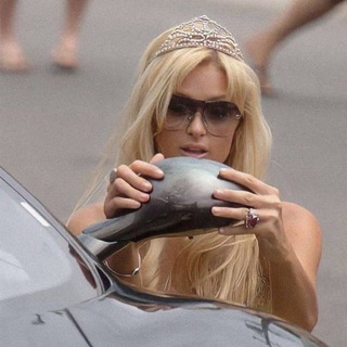 Логотип @pinvibez - pin vibez