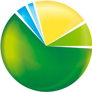 Логотип @pionliz - Главное о лизинге | Pioneer-leasing