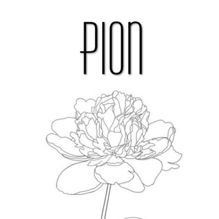 Логотип @pionproizvoditel - PION Синяя 1520