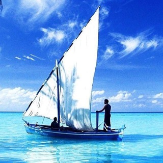 Логотип @pipeop - PiPeop