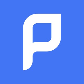 Логотип @piplua - PRO безпеку без краваток