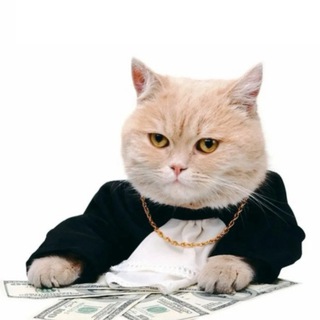 Логотип @pishipashe - лучше пишите Паше