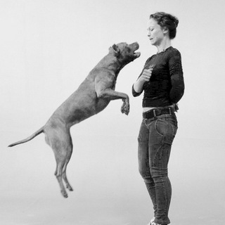 Логотип @pit_prait_moscow - Москва. ПРАЙТЕР