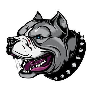 Логотип @pitbullbrand - 🔥PITBULL SNEAKER PUSHER