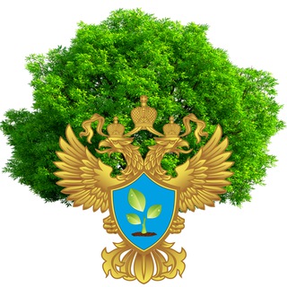 Логотип @pitereco - ☣️Экологическая безопасность Невского края