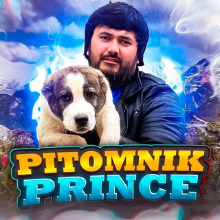Логотип @pitomnikprince - п-к ПРИНЦ расмий телеграм канали