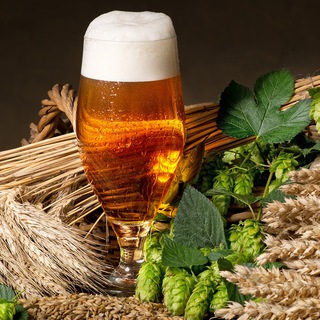 Логотип @pivkowar - Самоварение Пивасика Пробы Дегустация