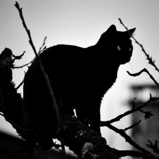 Логотип @pizdatiychat - 🪐🪐🪐