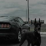 Логотип @pizpleilist - пиздатые треки