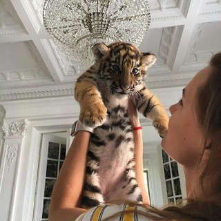 Логотип @pizzdattoe - Что то пиздатое 🖤