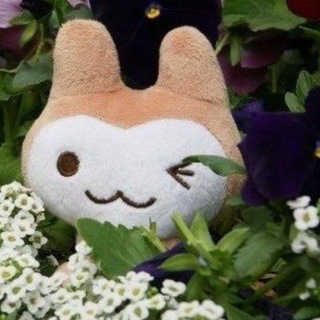 Логотип @pkikoli - pkikoli🧤📎