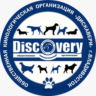 Логотип @pkkos_discovery - ПККОС & ДИСКАВЕРИ г.Владивосток и наши друзья!