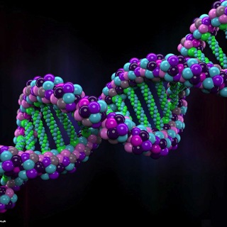 Логотип @pku_news - Pku