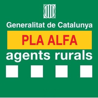 Логотип @plaalfa - Pla Alfa