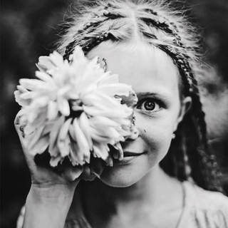 Логотип @plakal_gollivud - Плакал Голливуд