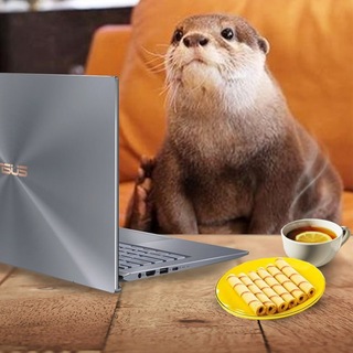 Логотип @plan_kinaki - План Кинаки 🦦☕️