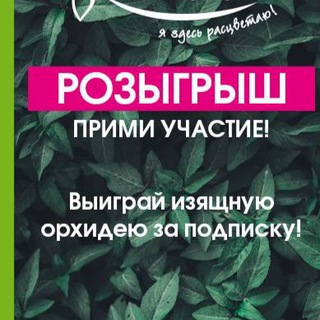 Логотип @planeta_leta_266 - Розыгрыш!26