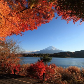 Логотип @planetaearth4 - Планета Земля🍁